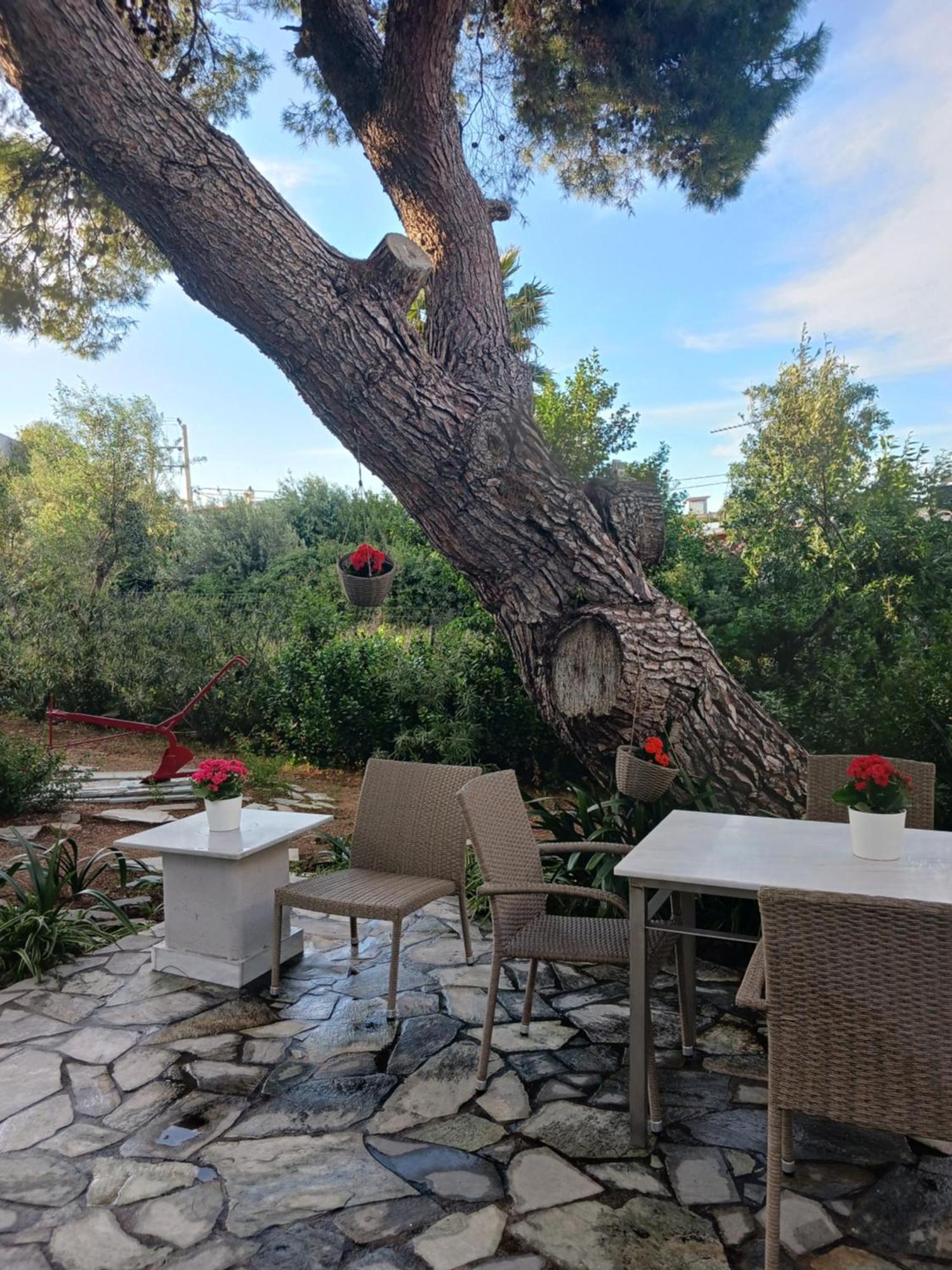 Theros & Trygos Boutique Houses - Ath Airport Αρτέμιδα Εξωτερικό φωτογραφία